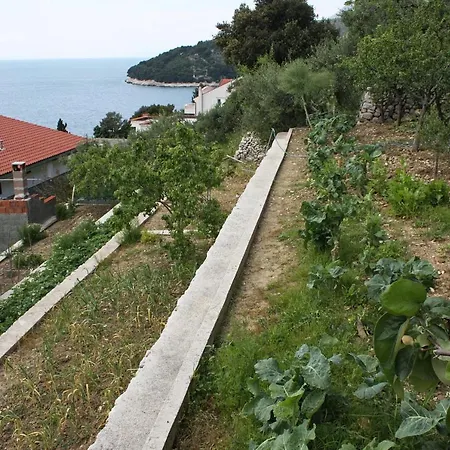 With A Parking Space Gornja Vala, Makarska - 4890 Lägenhet